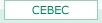 About CEBEC